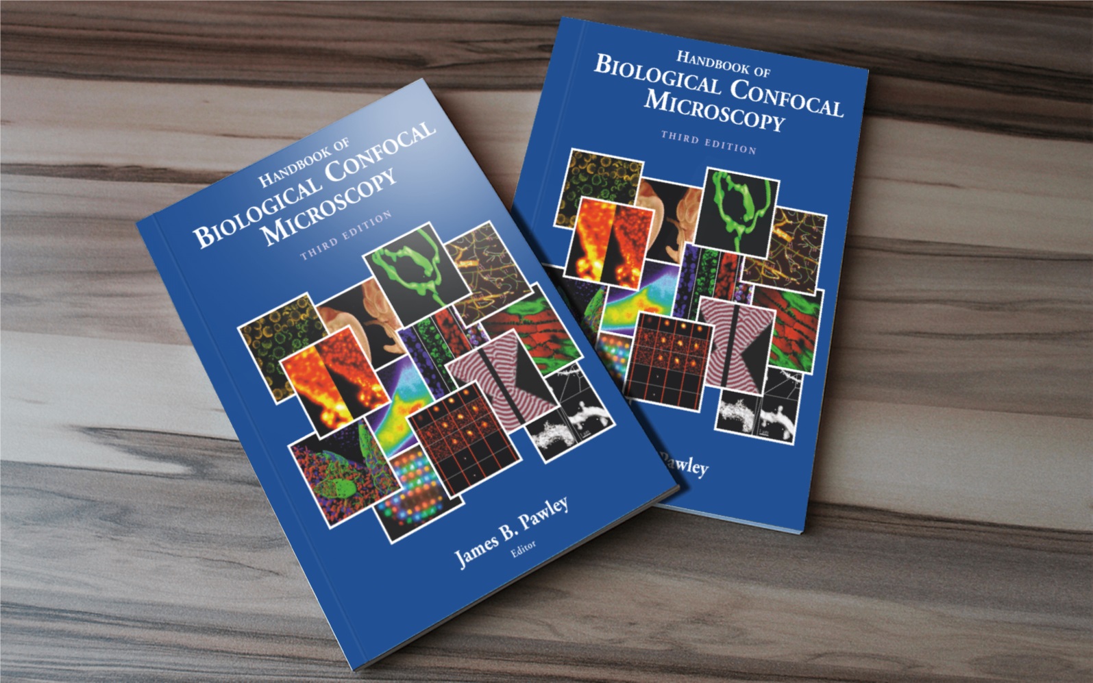 Handbook Of Biological Confocal Microscopy