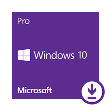 Win Pro 10 32-bit/64-bit All Lng PK Lic Online DwnLd NR